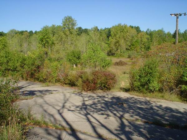 Jackson Motor Speedway - Pitts From Mike (newer photo)